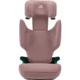 Автокрісло BRITAX-ROMER DISCOVERY PLUS Dusty Rose — Photo 1