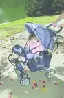 Дощовик до коляски DreamBaby — Photo 3