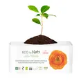 Органічні щоденні прокладки Eco by Naty Large 28 шт — Photo 1