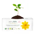 Органічні прокладки Eco by Naty Normal 14 шт без крилець — Photo 1