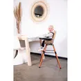Стілець для годування Childhome Evolu 2 з бампером nut/frosted, арт. CHEVOCHFR — Photo 6