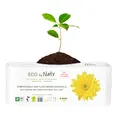 Органічні прокладки Eco by Naty Super 12 шт — Photo 1