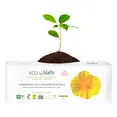 Органічні прокладки Eco by Naty Night 10 шт — Photo 1