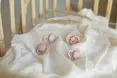 Соски пустушки BIBS Colour Latex Round (круглі) 4 PACK – Ivory/Blush/Woodchuck/Blossom 6-18 міс. — Photo 4