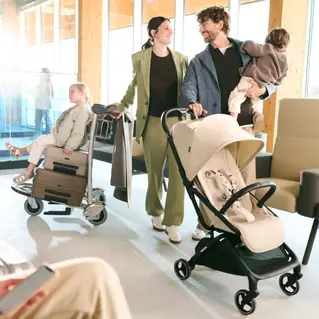 Коляска в літак Easywalker Rockey S